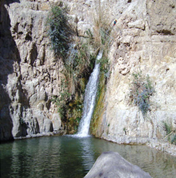 지금도 엔게디 폭포에서는 신기한 물줄기가 계속 떨어지고 있다.