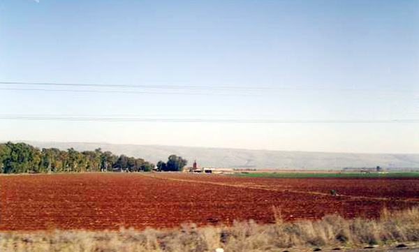 골란 고원 평야 