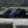 ▲이집트 무슬림들이 기도시간에 맟춰서 거리에서 기도하고 있다. ⓒFIM 국제선교회