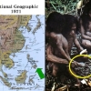 필리핀 만다나오 섬 밀림지대에 구석기 시대처럼 사는 원주민들