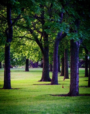 ▲ⓒ사진 박민호