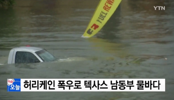 ⓒYTN 보도화면 캡쳐