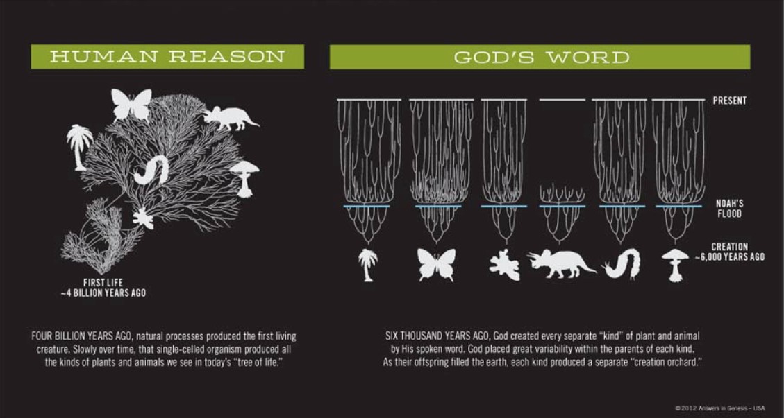 Credit: Genesis Apologetics 