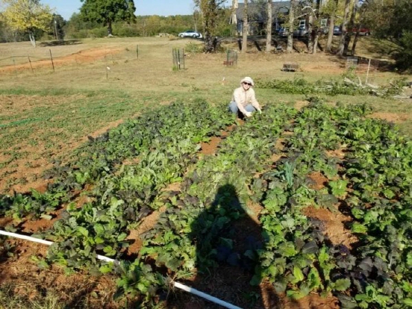 성령사관아카데미