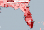 플로리다주 코로나바이러스 확진자 현황