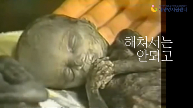 제3회 인간 생명존중 문화를 위한 UCC 공모전 대상 스틸컷. ⓒ새생명지원센터