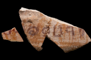 도자기에 먹으로 &#039;여룹바알&#039;이라는 비문이 쓰여졌다. ©Dafna Gazit/Israel Antiquities Authority 