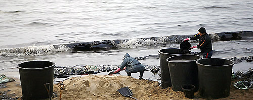 한국기독교연합봉사단 회원들이 만리포해수욕장에서 유출된 기름을 제거하고 있는 모습
