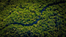 아마존 산림 기후변화 자연