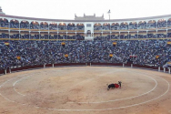 스페인 한 경기장의 투우사와 황소. ⓒ픽사베이