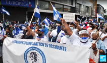 니카라과 선거 부정 규탄 시위 