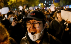 시진핑 퇴진 시위
