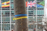 유엔 본부 앞 한 나무에 우크라이나를 위한 기도를 요청하는 의미로 우크라 국기 색깔의 리본이 매달려 있다. 