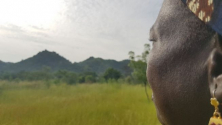 카메룬의 기독교인 과부인 사라타가 들판을 바라보고 있다(위 사진은 본 기사 내용과 직접적 관련은 없음). ⓒ오픈도어
