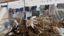 가자지구 남부 칸유니스로 대피한 가정에서 나무 땔감을 태워 식사 준비를 하고 있다. ⓒ세이브더칠드런