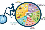 식품구성자전거 ©자료출처: 보건복지부·한국영양학회, 2020 한국인 영양소 섭취기준, 2020