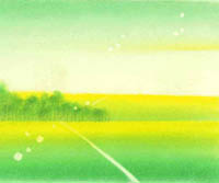 봄볕이 참 좋습니다