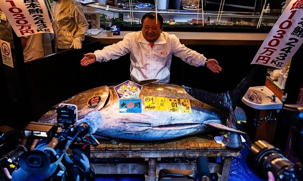 신성욱 목사 칼럼 <참다랑어 한 마리 경매가가 47억 원이라고?>