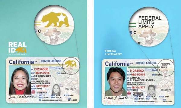 DMV