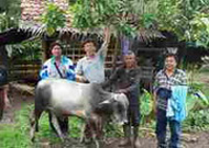 농촌교회 자립 프로그램