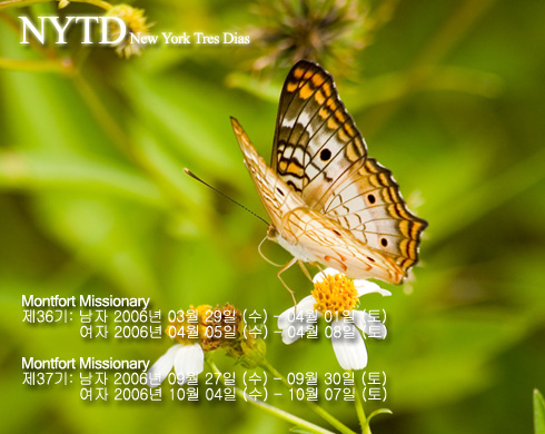 뉴욕 트레스디아스(Tres Dias)