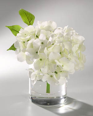 꽃처럼 아름다운 선한 말을 기대합니다.