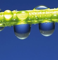 하나님의 사랑에 빠져든 사람만이 진정 영혼까지도 사랑합니다