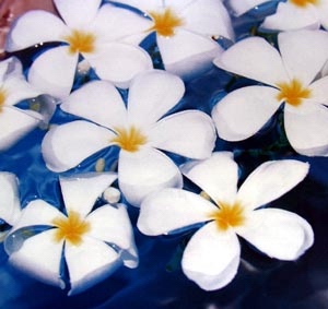 진짜 귀한 은혜를 더하여 주신다