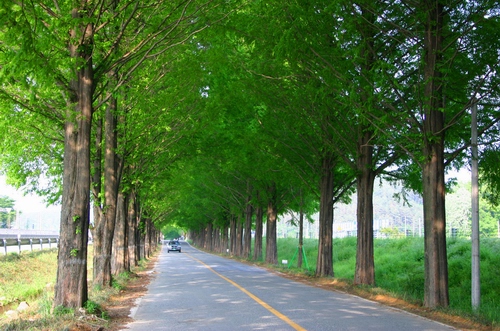 ▲먼 길 함께 갈 수 있어 작은 행복 소중하였네