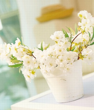 그대는 귀여이 맑고 아름다워라