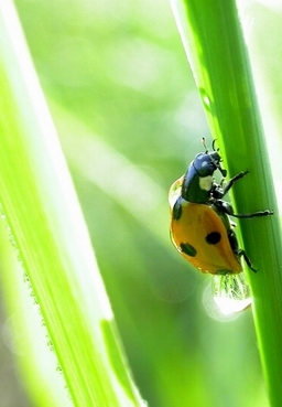 ▲비온 뒤의 햇살에 젖은 어둠을 말린다