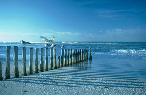 열심히 걷다보면 깨어나서도 내내 기쁨으로 흘러가는 나의 시간들