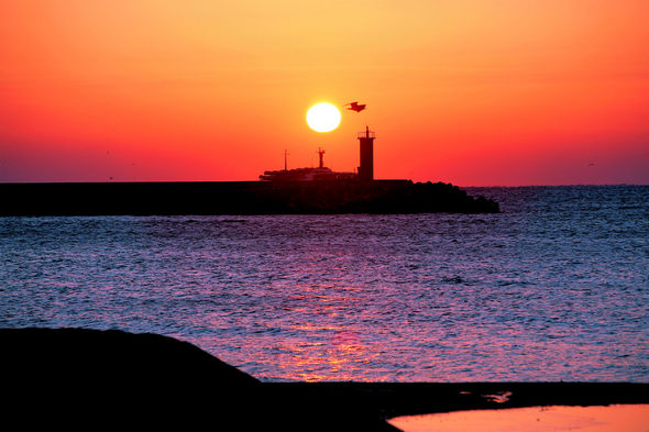 부흥의 한날을 꿈꾸며