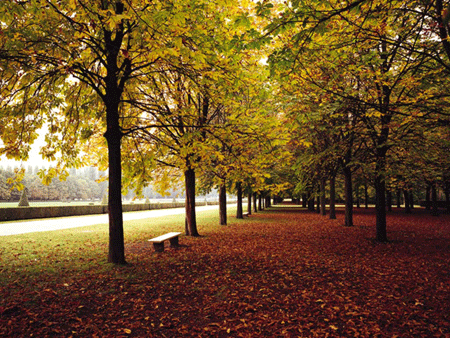 가을하늘처럼 맑고 투명한 사랑을 하고 싶다