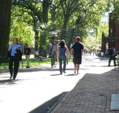 하버드 대학교 캠퍼스 전경 ⓒ 하버드 대학 