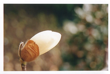 가장 추운 날에도