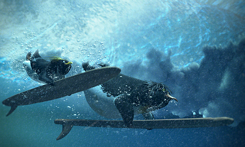 코디가 빅Z로부터 서핑 타는 법을 배우고 있다 