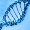 인간의 유전자가 누구의 특허 대상이 될 수 있는가? 