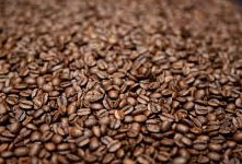 커피 원두