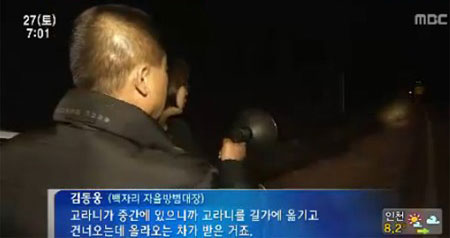 고라니 순직경찰 소식에 네티즌들의 애도의 물결이 이어지고 있다. /MBC 뉴스 화면캡처
