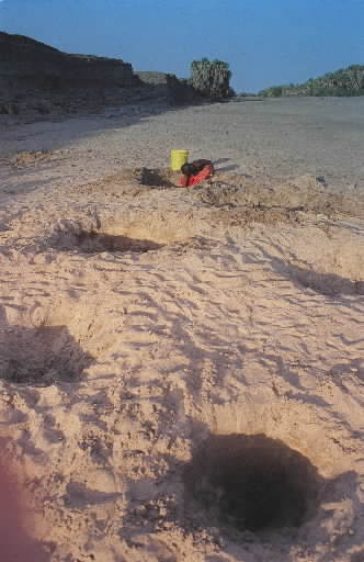 물이 없어 구덩이를 파 물을 찾는 아프리카의 어느 소녀의 모습 