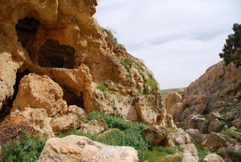 theBibleland - 채리톤