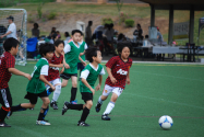 유소년축구대회(자료사진)