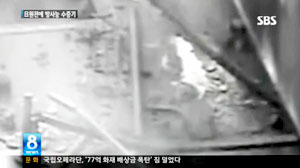 일본 후쿠시마 제3 원자로 주변에서 고농도 방사능이 포함된 것으로 추정되는 수증기가 유출돼 전 세계가 비상이 걸렸다.