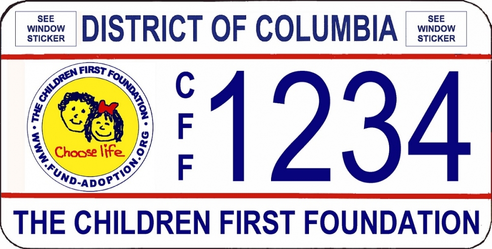 반낙태 친생명 번호판