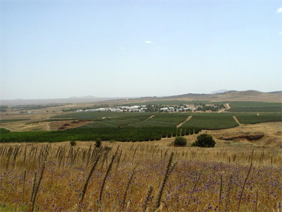 골란 고원의 기름진 평야를 볼 수 있다