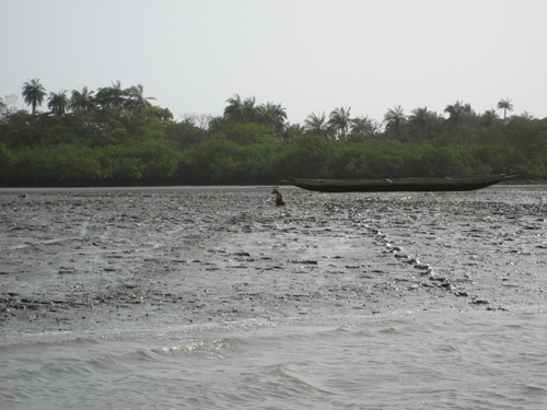 기니비사우 선교보고