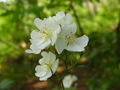 솔바람 이는 한적한 곳에서 사랑 둥지 마련해 사랑하는 사람과 이렇게 살고싶다.